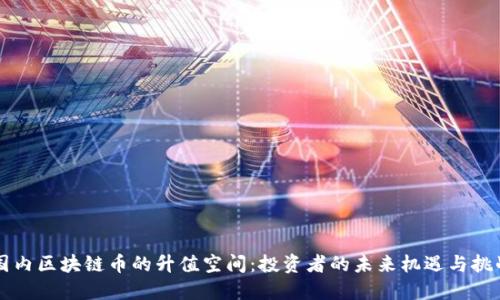 國(guó)內(nèi)區(qū)塊鏈幣的升值空間:投資者的未來(lái)機(jī)遇與挑戰(zhàn)