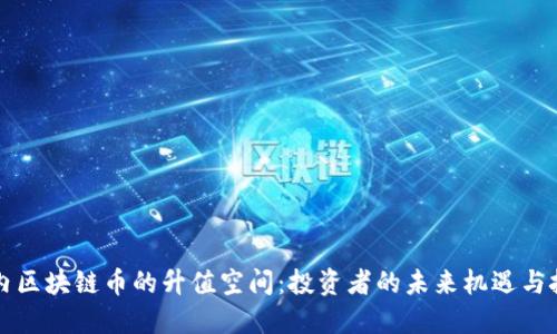 國(guó)內(nèi)區(qū)塊鏈幣的升值空間:投資者的未來(lái)機(jī)遇與挑戰(zhàn)
