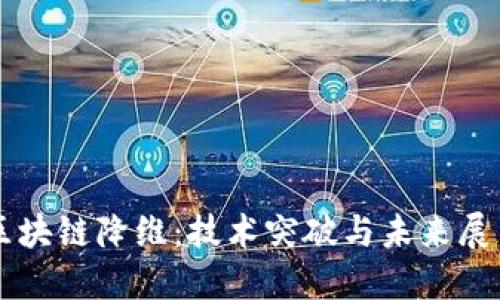 區(qū)塊鏈降維:技術(shù)突破與未來展望
