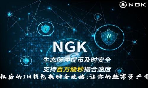 丟失手機(jī)后的IM錢包找回全攻略:讓你的數(shù)字資產(chǎn)重回掌中