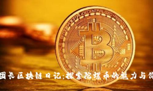 王團(tuán)長區(qū)塊鏈日記:探索陀螺幣的魅力與價(jià)值