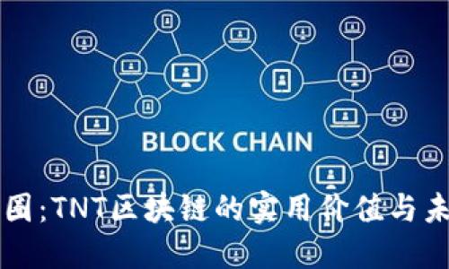 揭秘幣圈:TNT區(qū)塊鏈的實用價值與未來潛力