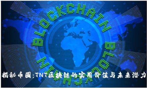 揭秘幣圈:TNT區(qū)塊鏈的實用價值與未來潛力