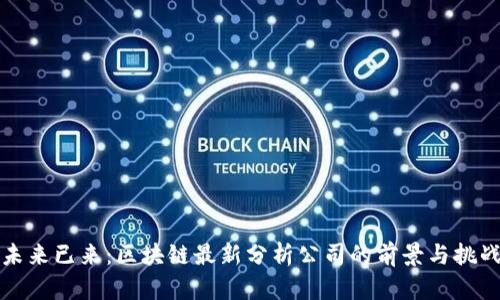 未來已來:區(qū)塊鏈最新分析公司的前景與挑戰(zhàn)